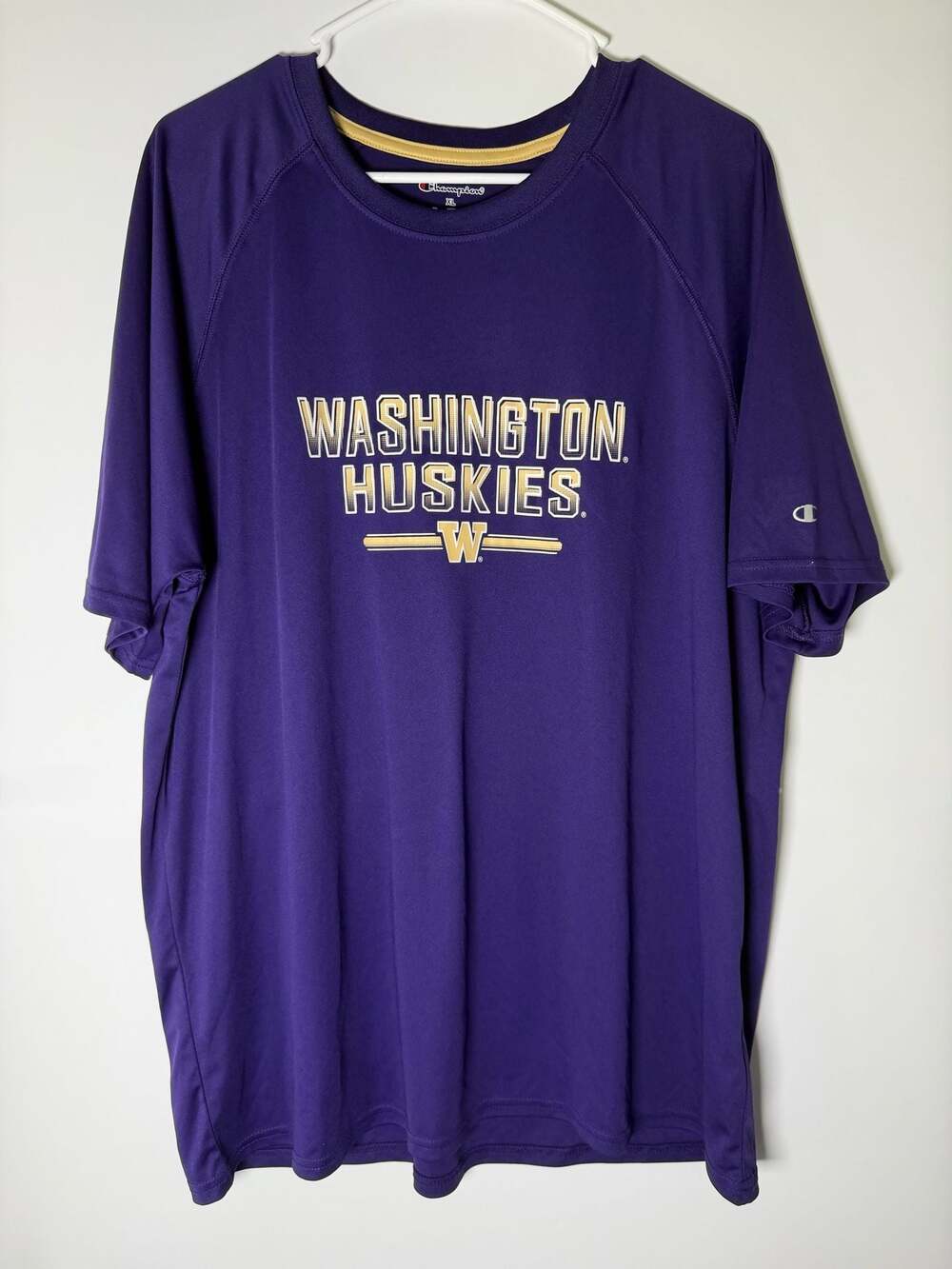 Champion Washington Huskies NCAA Chase Long Sleeve Purple T-Shirt - Men's XL